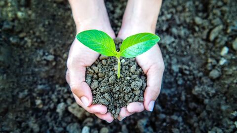 Chunk Environment – Nâng tầm trả lời IELTS Speaking với trải nghiệm cá nhân