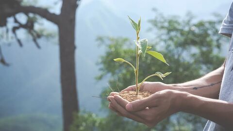 Từ vựng Environment nâng cao cho IELTS: Academic words và cách dùng hiệu quả