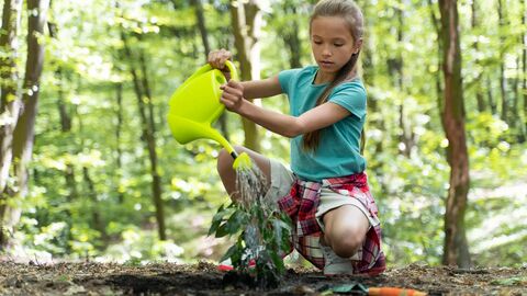 Collocations chủ đề Environment: Cách diễn đạt học thuật giúp bài IELTS nổi bật