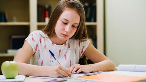 Body Paragraph trong IELTS Writing Task 1: Cách triển khai dữ liệu logic và tự nhiên như người có kinh nghiệm