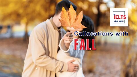 Collocations with Fall: Những cách kết hợp với “fall” giúp bạn diễn đạt tự nhiên và học thuật hơn