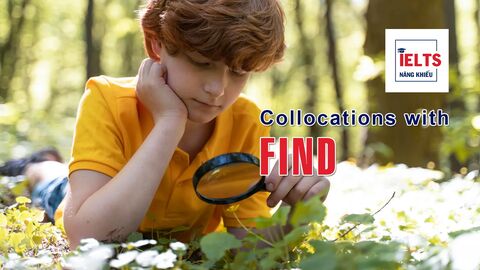 Collocations with Find: Những cách kết hợp với “find” giúp bạn diễn đạt tự nhiên và tinh tế hơn