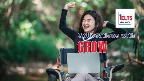 Collocations with Grow: Những cách kết hợp với “grow” giúp bạn diễn đạt tự nhiên và học thuật hơn