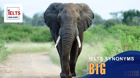Big là gì? Cách sử dụng Big và các từ đồng nghĩa trong tiếng Anh và IELTS