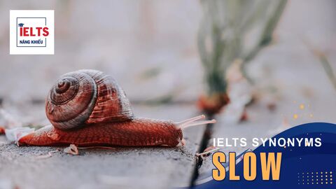 Slow là gì? Cách sử dụng Slow và các từ đồng nghĩa trong tiếng Anh và IELTS