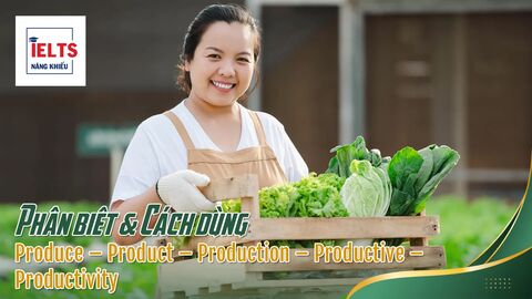 Tất tần tật về Produce – Product – Production – Productive – Productivity trong IELTS: Phân biệt từ loại & Cách dùng chuẩn
