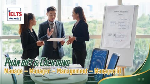 Bộ từ Manage – Manager – Management – Managerial: Cách ghép câu tự nhiên trong IELTS