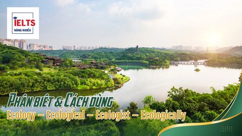 Ecology – Ecological – Ecologist – Ecologically: Phân biệt và cách dùng chuẩn trong IELTS