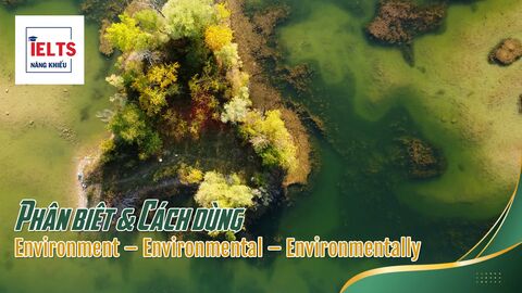 Environment – Environmental – Environmentally: Cách dùng chuẩn IELTS