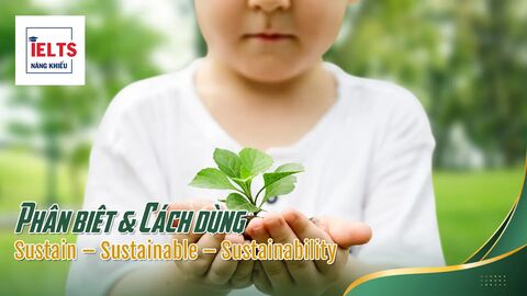 Sustain – Sustainable – Sustainability: Biến thể loại từ và cách dùng chuẩn trong IELTS
