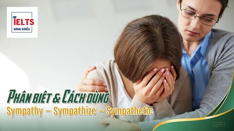 Phân biệt Sympathy – Sympathize – Sympathetic và cách dùng tự nhiên trong IELTS