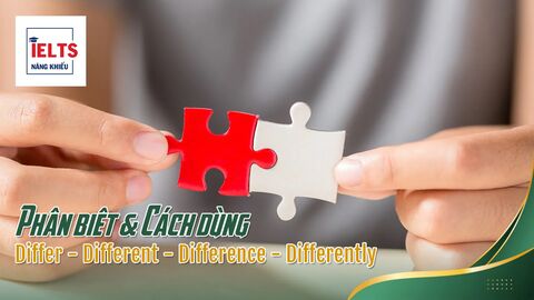 Differ – Different – Difference – Differently: Cách viết so sánh không bị lặp từ