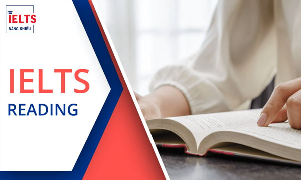 học ielts nên bắt đầu từ đâu